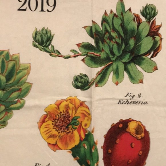 2019 calendar tea towel with cactus NWT - Picture 6 of 16